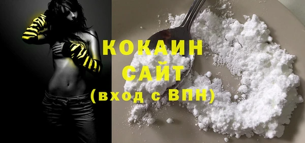 ECSTASY Бородино