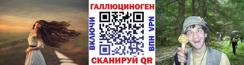 купить   OMG как войти  Псилоцибиновые грибы прущие грибы  Славянск-на-Кубани 